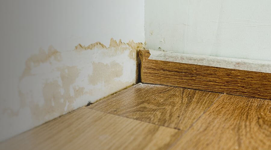 Why choose Black Mold Removal Lady Lake for black mold removal in Lady Lake